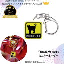 \ランキング入賞/ 家に猫がいます キーホルダー ペット防災 災害対策 高視認性 目立つ 耐久性 高品質 日本製 ペット 防災グッズ 災害対策 防災 黄色 黒 ...