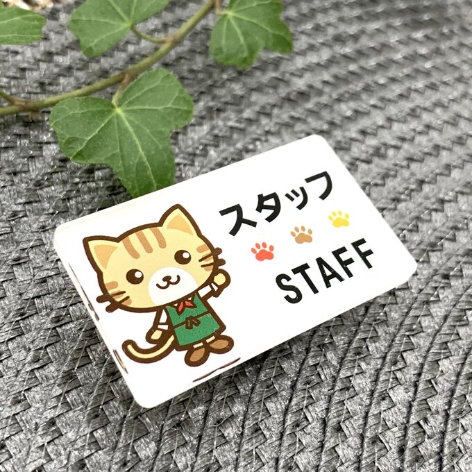 ������̵���۸�ǭ���饹��̾�� STAFF������ץ졼�� �����å� Ź�� ����å� Ź�� ����å�Ź�� ���ե� ����Ź ��Ź