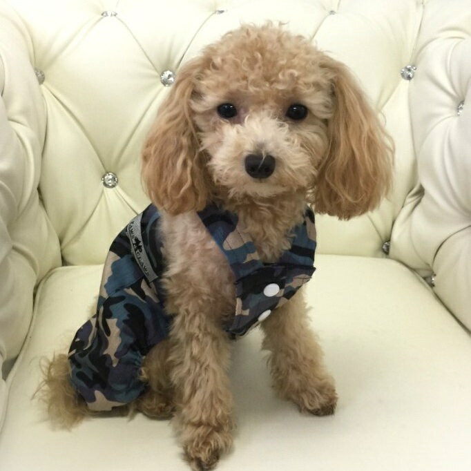 オーバーオール 0～2号 オールインワン カバーオール つなぎ カジュアル おしゃれ 極小犬 パピー 超小型犬 小型犬 犬 猫 ペット 服 犬服 猫服 犬の服 猫の服 ウェア ストライプ カモフラ 迷彩柄 カモフラージュ シンプル アーミー デニム