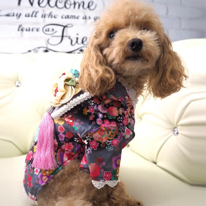 楽天市場】ボストンテリア 花（着物｜ドッグウェア）：犬用品<ペット