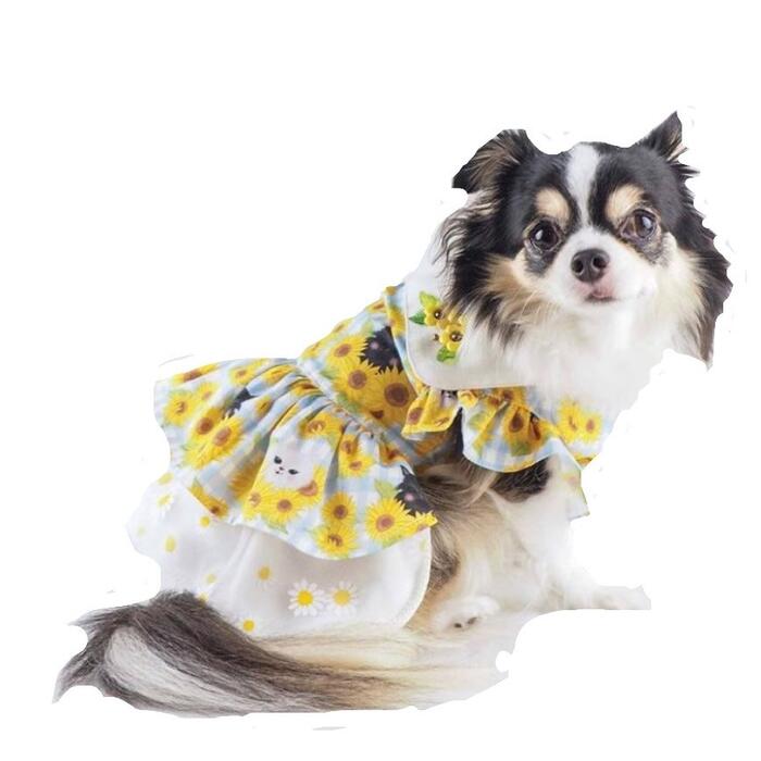 楽天市場】ひまわり（ワンピース｜ドッグウェア）：犬用品<ペット