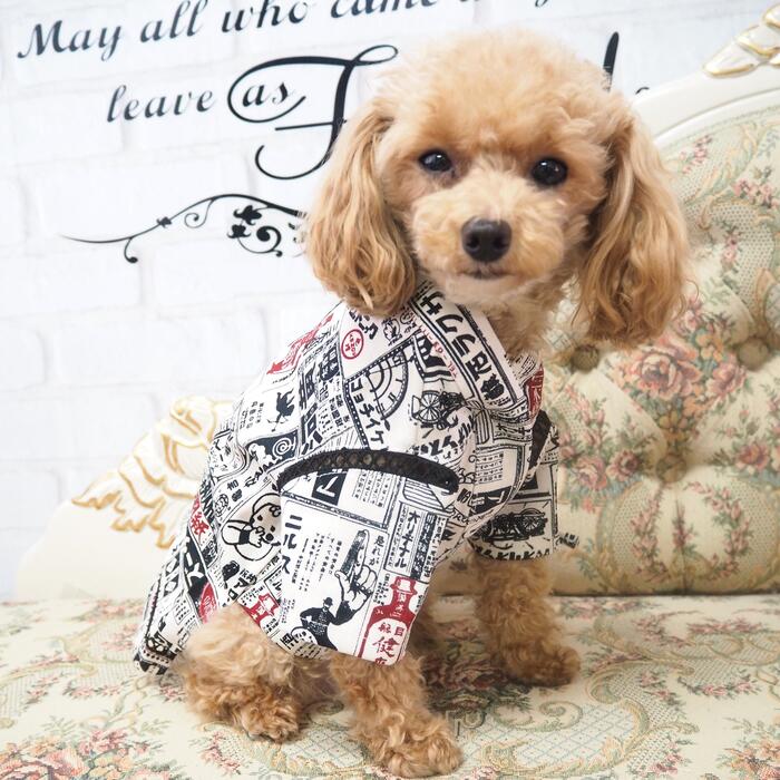 楽天市場】昭和レトロ（ドッグウェア｜犬用品）：ペット・ペットグッズ