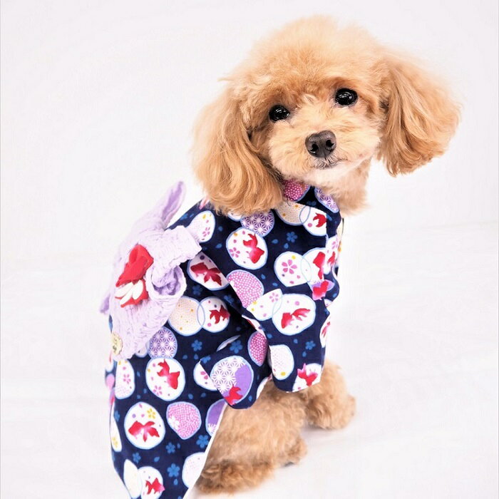 浴衣 小型犬用 0～6号 祭り 子犬 お揃い 金魚柄 和装 和服 和柄 和 極小型犬 パピ...