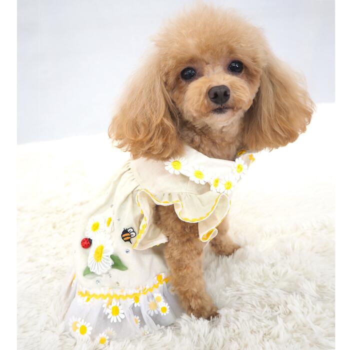 楽天市場】リバティ ワンピース（ペット・ペットグッズ）の通販