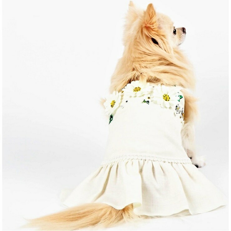 ��������۾����������� ���ԡ��� 4�� ���� �ɥ쥹 ���� ������ ǭ���� ���� ǭ�� �ɥå������� ���襤�� ������� ���饭�� �ӥ��塼 ���ȡ��� ���åȥ� �� �ե�������� �ե��ߥ˥� �˾��� �ѥԡ� Ķ������ ������ �� ǭ �ڥå� �� ���� ���� �ղ� AT46