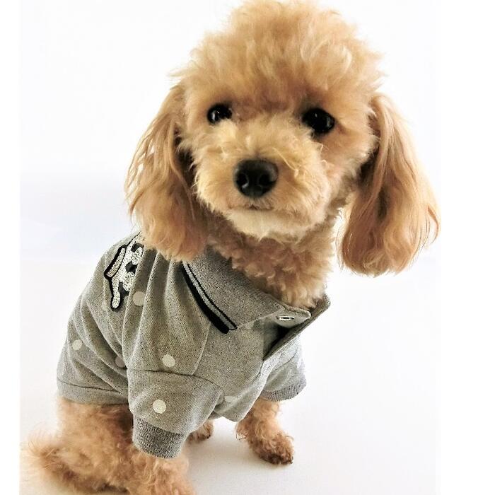 楽天市場】水玉 ドット（ドッグウェア｜犬用品）：ペット・ペット