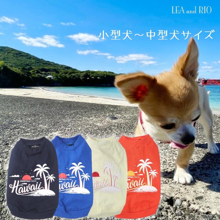 夏！！満載デザイントップス 超小型犬 小型犬 犬 猫 ペット 服 犬服 猫服 犬の服 猫の服 洋服 ウェア おしゃれ シンプル 可愛い カジュアル 春夏 オールシーズン ビタミンカラー ダークカラー 常夏 Tシャツ 極小犬 パピー 返品交換不可