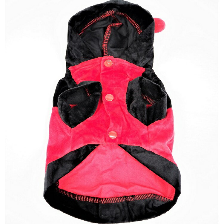 �ȥåץ� �������� 1��6�� �ա��ǥ��� �ѡ����� ������ �� ǭ �ڥå� �� ���� ǭ�� ������ ǭ���� ������ ���� ���� �������塼�� �����ץ� �ۤ�ۤ� ���� �İ��� �⤳�⤳ ���襤�� �Ƥ�Ȥ��� �ƥ�ȥ��ॷ �ष �ѥԡ� �˾��� Ķ������ ���� ���� ���ʸ��Բ�