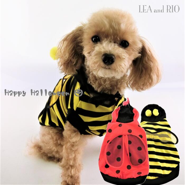 在庫処分！！トップス インスタ映え コスチューム コスプレ フーディー パーカー 極小犬 パピー 超小型犬 小型犬 犬 猫 ペット 服 犬服 猫服 犬の服 猫の服 洋服 ドッグウェア はち てんとう虫 コスプレ コスチューム ハロウィン イベント 返品交換不可