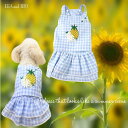 ワンピース 5号 サマードレス 極小犬 パピー 超小型犬 小型犬 犬 猫 ペット 服 犬の服 猫の服 犬服 猫服 洋服 ドッグウェア dog かわいい 爽やか ...