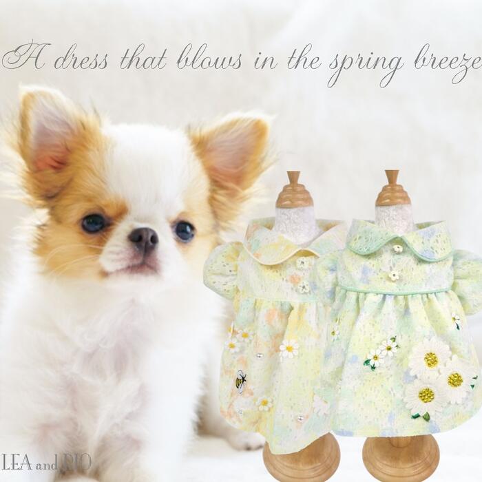 チュニックワンピワンピース チュニック チュニックワンピ 猫 ペット 服 犬の服 猫の服 犬服 猫服 洋服 レース ビジュー ストーン パステルカラー コットン ナチュラル 可愛い ワンピ ドレス 極小犬 パピー 超小型犬 小型犬 犬 ハンドメイド オールシーズン 返品交換不可
