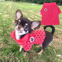 トップス 1~4号 Tシャツ ポロシャツ シャツ デイリー 小型犬 犬 猫 ペット 服 犬の服 猫の服 犬服 猫服 洋服 ウェア シンプル リンクコーデ ビビットカラー ドット キュート ハンドメイド かわいい カジュアル バイカラー 極小犬 パピー 超小型犬 返品交換不可