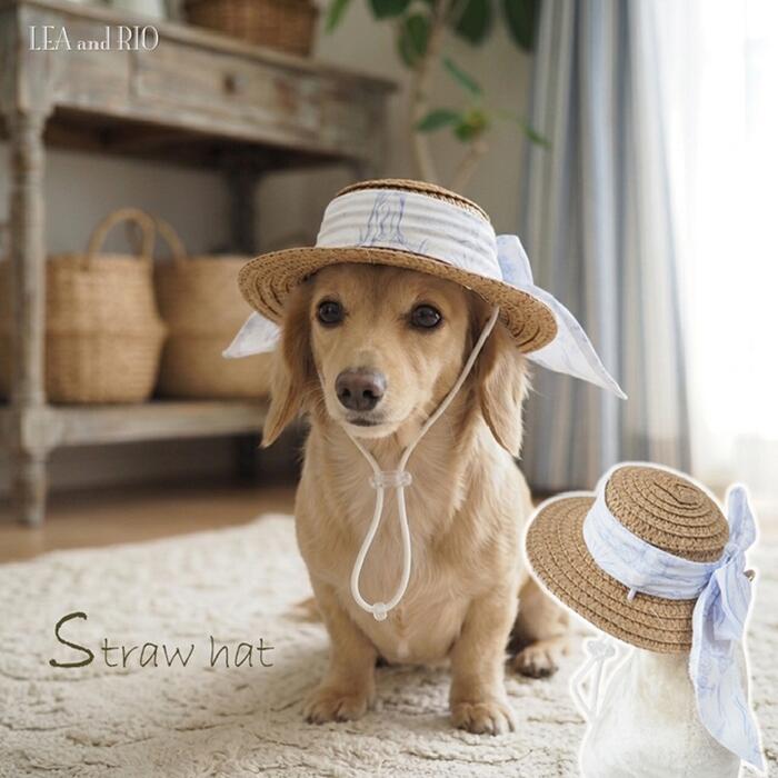 【2026 summer 新作】麦わら帽子 S～Lサイズ 小型犬用 むぎわら帽子 ストローハット リボン ヘアアクセ ヘッドアクセサリー 帽子 ハット りぼん 超小型犬 小型犬 小型 犬 猫 ペット 服 ドッグ 猫の服 犬服 猫服 極小犬 パピー ハンドメイド 犬の服 夏用 返品交換不可