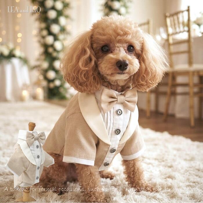 トップスタキシード小型犬用0～8号...