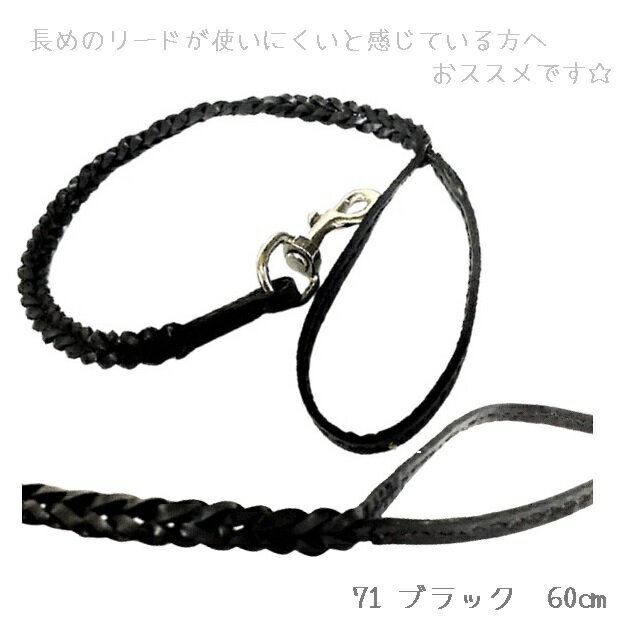 �ܳץ꡼�ɥ꡼�� 60��120cm ��� �ܳ� �쥶�� �ȥ졼�˥� �� ���� û�� �˾��� �ѥԡ� Ķ������ ������ �淿�� �� ǭ �ڥå� �� ������ ǭ���� ���� ǭ�� �ʥ����� ���ä����� ���������顼 ���Ф��� ������ ���ե� ������� ����ץ� �����ƥ� ���� ����̵��