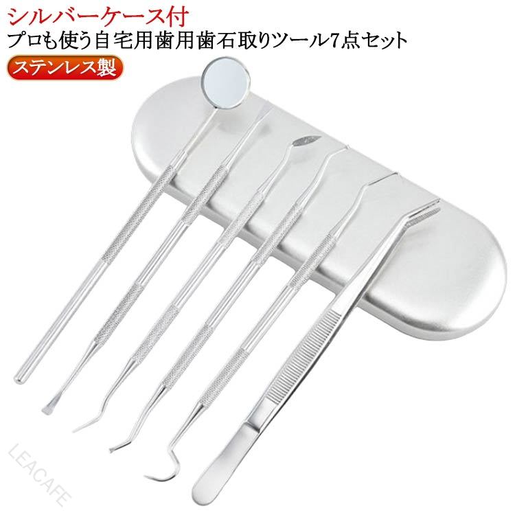 歯石取り 歯垢 歯石除去 スケーラー デンタルツール 歯用ツール 先極細 ステンレス製 器具 ヤニとり プロ仕様 プロも使う 自分で取る 自宅用 6点セット 歯垢除去 歯石クリーナー 歯ブラ