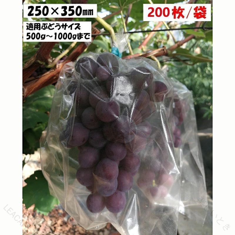 全透明微孔フィルム袋 ブドウ日光カバー袋 果物野菜ラップ袋 ブドウラップ袋 鳥や蚊の侵入を防ぐ 25*35mm 200枚/袋 ブドウラップ袋 25*35mm 200枚/袋 この果実袋は、特殊な製法により　1m2あたり約175,000個の微孔（約0.13mm）を施したポリプロピレンフィルム果実袋です。透明フィルム＋高密度ポリエチレン（乳白色）使用の為、袋の外より栽培状況が1目で確認できます。又害虫被害の軽減に威力を発揮。●ぶどう、梨　などに使用●袋の中で空気が動く⇒蒸れ防止効果●防虫と袋内発生虫⇒飛散防止効果●防鳥効果に実績⇒光乱反射効果●袋内丸見えで管理容易⇒透明効果サイズ:長さ約35cm、幅約25cm 6【原産国／製造国: 中国】 .全透明微孔フィルム袋は果物 野菜 ブドウの保護に最適なラップ袋で、鳥や蚊の侵入を防ぐ防虫 防鳥効果があります。サイズは25*35mmで200枚入りの大容量。薄手で軽量ながら耐久性があり高品質な素材を使用。ガーデニング 家庭菜園 農業 園芸など幅広いシーンで使用可能。防虫ネット 防鳥ネット 蚊よけ 蚊除け 虫よけ 虫除けとしても効果的。果物ラップ 野菜ラップ ブドウラップ袋として人気で、包装 保護 包みとしても便利。農作物 保護袋 防護ネットとしても使え、園芸用品 農業資材 ガーデン用品 園芸資材 農園用品としてお勧め。おすすめ 人気 ランキング セール対象商品で検索ヒット率を最大化。。 .全透明微孔フィルム袋 25*35mm 200枚 果物 野菜 ラップ袋 ブドウラップ袋 ブドウ日光カバー袋 鳥や蚊の侵入を防ぐ 防虫 防鳥 蚊よけ 蚊除け ラップ フィルム 袋 透明 薄手 軽量 耐久性 高品質 農業 園芸 ガーデニング 収穫 保護 防護 カバー 繰り返し使用可能。家庭菜園や農園におすすめの防虫資材。人気ランキング入り商品でセール対象。。 指定された配送時間は承っておりません。【LEACAFE】