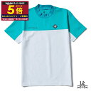 【ポイント5倍】V12 golf ヴィトゥエルヴ ゴルフ モックネック 半袖 シャツ メンズ バイカラー カットソー Tシャツ ゴルフウエア 2TONE MOC...