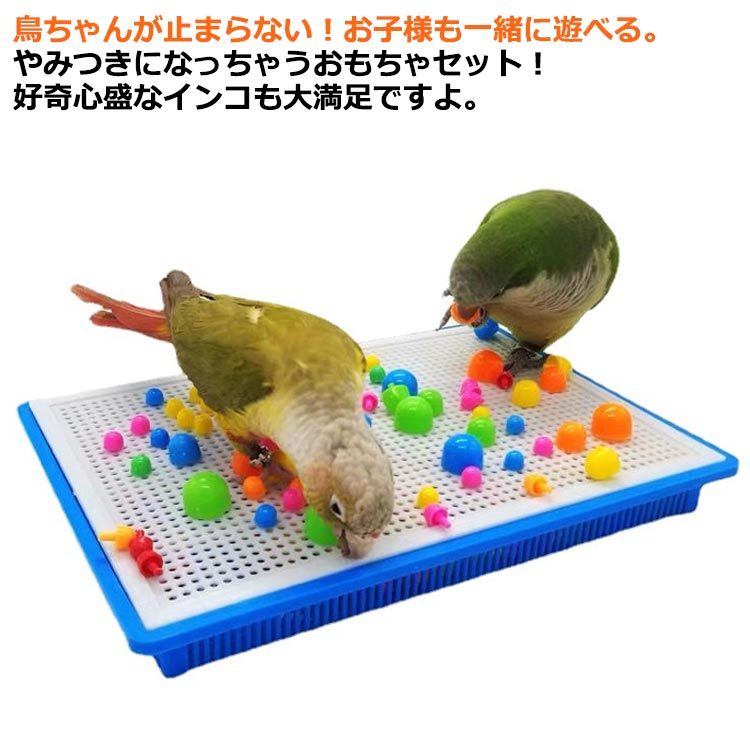 【2999円→実質2699円 P5+5%COUPON! 11/27 1:59迄】小鳥のおもちゃセット オカメインコ 鳥のおもちゃ バードトイ 鳥グッズ 小鳥 ス...