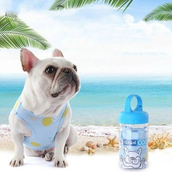 【オープン記念！5%OFFクーポン 11/17まで】クールベスト 犬用 クールベスト 冷感 冷却 COOLベスト お..