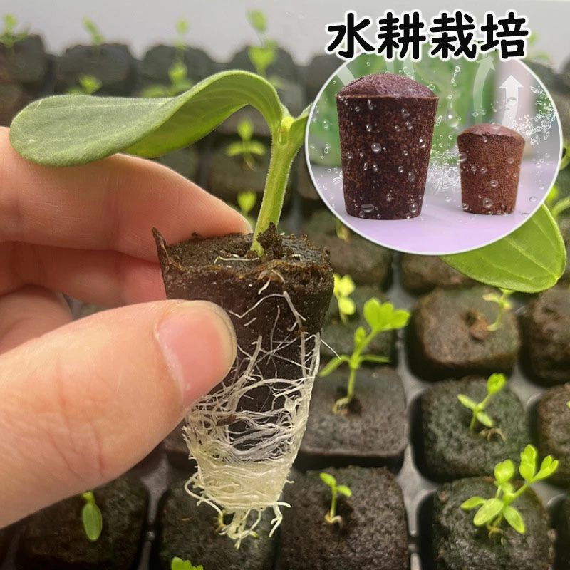 水耕栽培スポンジ水耕栽培キット用ウ...