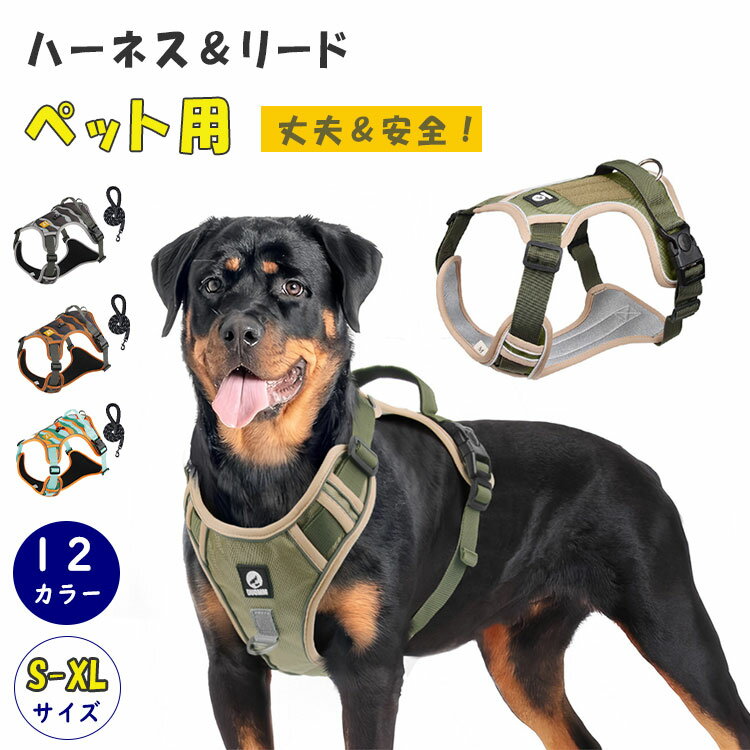 【3025円→実質2420円 P5+5%COUPON+10%OFF! 11/27 1:59迄】お買い得 リードセット 犬 ハーネス 胴輪 小..