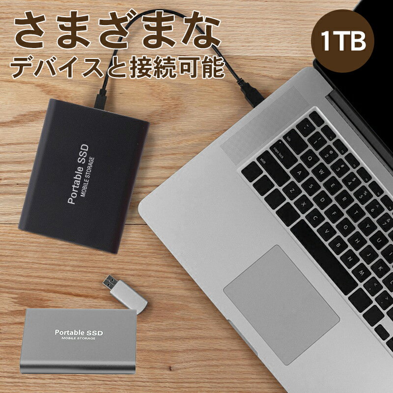外付けSSD 1TB SSD 読み取り560MB/s ノート USB 3.2 書き込み510MB/s デスクトップ PC 最大読み込み 最..