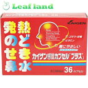 【第(2)類医薬品】【メール便送料無料!】感冒カプセル「プラス」 36カプセル【改源(カイゲン)】【メール便最大1個まで】
