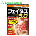 \期間限定★ポイントアップ中/【第2類医薬品】【メール便送料無料!】フェイタス5.0 温感 10枚入【久光製薬】【メール便最大1個まで】