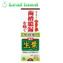 \期間限定★ポイントアップ中/【送料無料!】生葉 無研磨タイプ 95g【小林製薬】【医薬部外品】