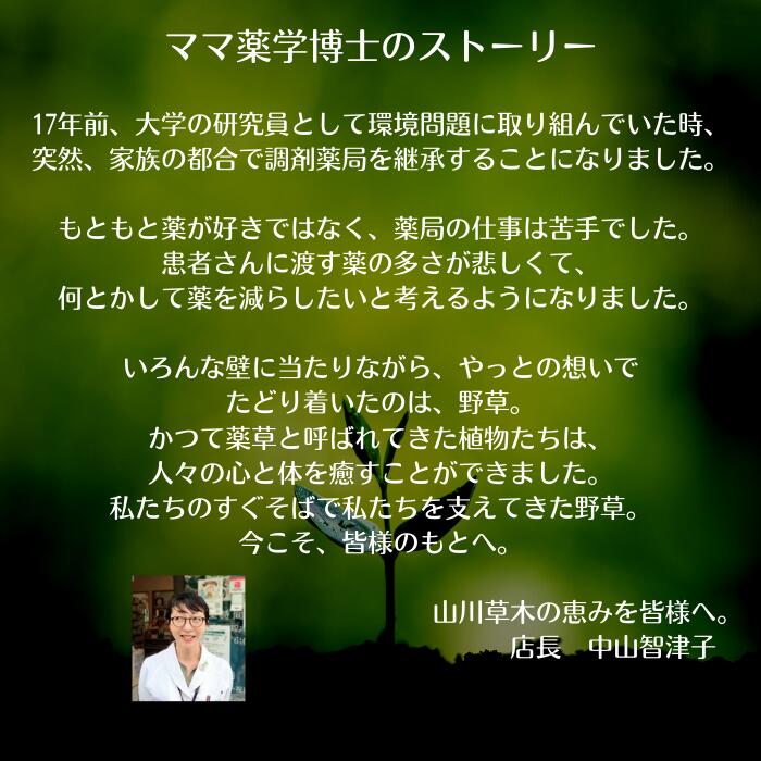 クーポン利用で3商品10%off！★！野草茶 健康茶 GABA 【送料無料】天然素材 100% 子ども に 毎日 リラックス パウダー お試しサイズ（0.5g×14包) 3個セット！お茶 葉酸 お茶 抹茶 鉄分 亜鉛 カルシウム ビタミン IQ サプリ 子供 シリカ 勉強 サプリメント 成長 集中