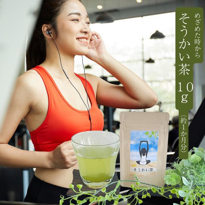 ポイント10倍&20%off 野草茶 送料無料  朝スッキリ カフェインレス お茶 国産 野草茶 100% 農薬不使用 デカフェ 内祝い 出産祝い 誕生日 7月 夏バテ