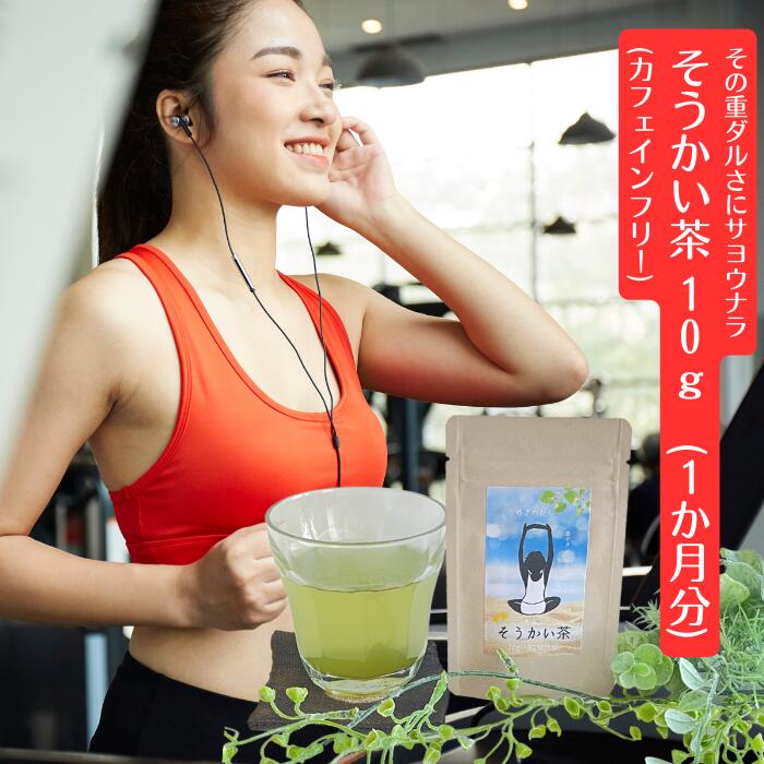 3商品で10%offクーポン 野草茶 健康茶 送料無料 旧 だるいのバイバイ茶 10g 朝スッキリ カフェインレス お茶 国産 野草茶 100% 農薬不使用 デカフェ 内祝い 出産祝い 誕生日 購入 通販 4月 春 ダイエット