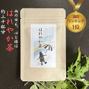 3商品で10%offクーポン ! 送料無料【 はれやか 茶 10g (約30杯分) 3個で25%off】 野草茶 無添加 農薬不使用 頭重 気圧 カフェインレス ノンカフェイン 低気圧 頭 痛み止め デカフェ 内祝い 購入 通販 4月 春 ダイエット