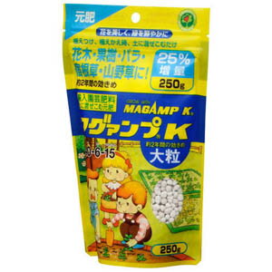 マグアンプK(マグァンプK) 大粒 250g ハイポネックス 化成 肥料 臭わない 虫がでない 観葉植物 野菜 室内 園芸 ガーデニング 植え替え 寄せ植え 初心者 安全 失敗しないのサムネイル