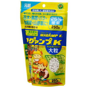 マグアンプK(マグァンプK)大粒250gハイポネックス化成肥料臭わない虫がでない観葉植物野菜室内園芸