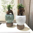 ポット ルダンゴトポット 鉢 シンプル オシャレ 可愛い