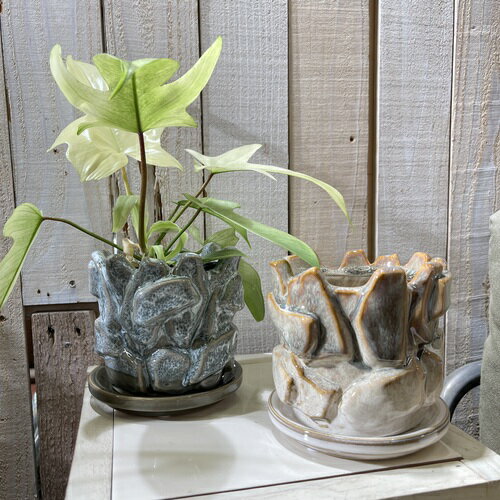 楽天市場】ロック（植木鉢｜植木鉢・プランター）：ガーデニング