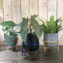 ポットカバー ネラ 13 スタンド付き 鉢カバー オシャレ 観葉植物 インテリア
