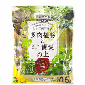 【1個までネコポス】多肉植物ミニ観葉の土 0.5L【安全】【元肥入り】【インドア】【花ごころ】