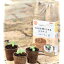  Seedfun եݥå 5.5cm 40 Τޤ޿륨ݥåȡڲְۡڰƤۡڼޤۡڻϤۡeco