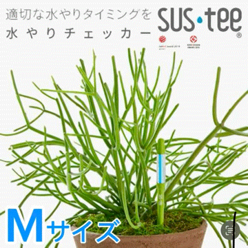 水やりチェッカー サスティー Mサイズ【土日出荷対応(祝祭日除く)】【サスティー商品アソート同梱OK】キャビノチェ SUSTEE