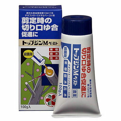 トップジンMペースト 100g【塗る殺菌剤】【切り口】【住友化学園芸】 1