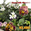 商品画像1