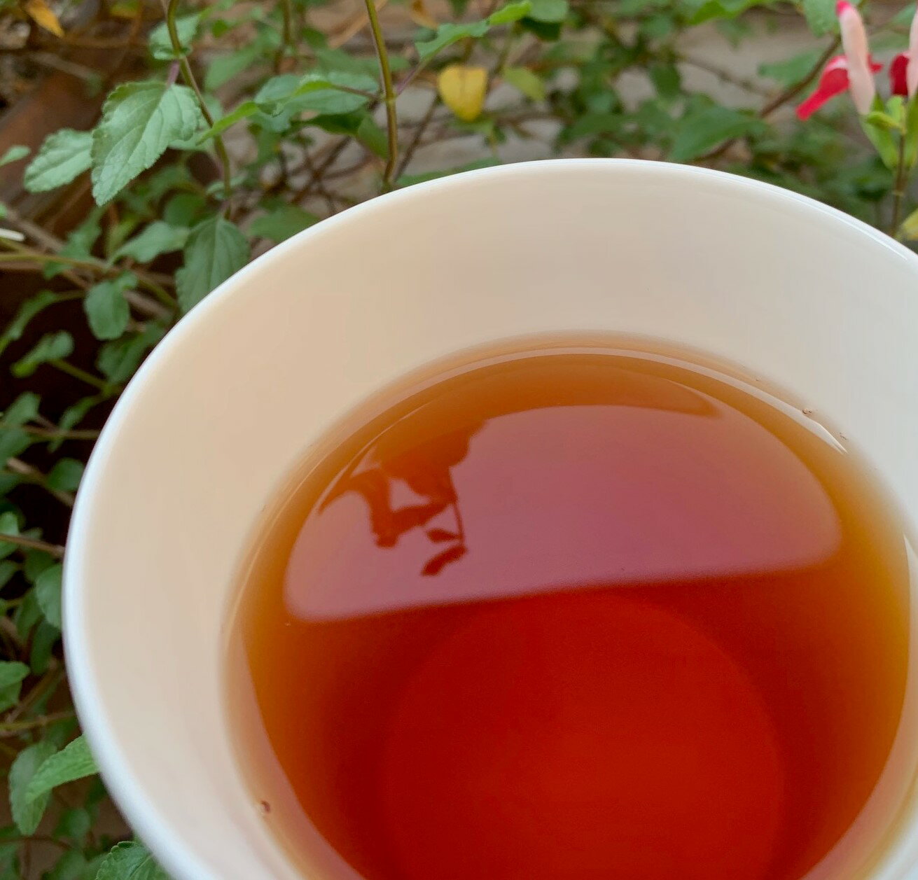 ��������ʹ�����õ顡��100g�ۡ���ץ��󥹡�����󡡥���ߥѥå���