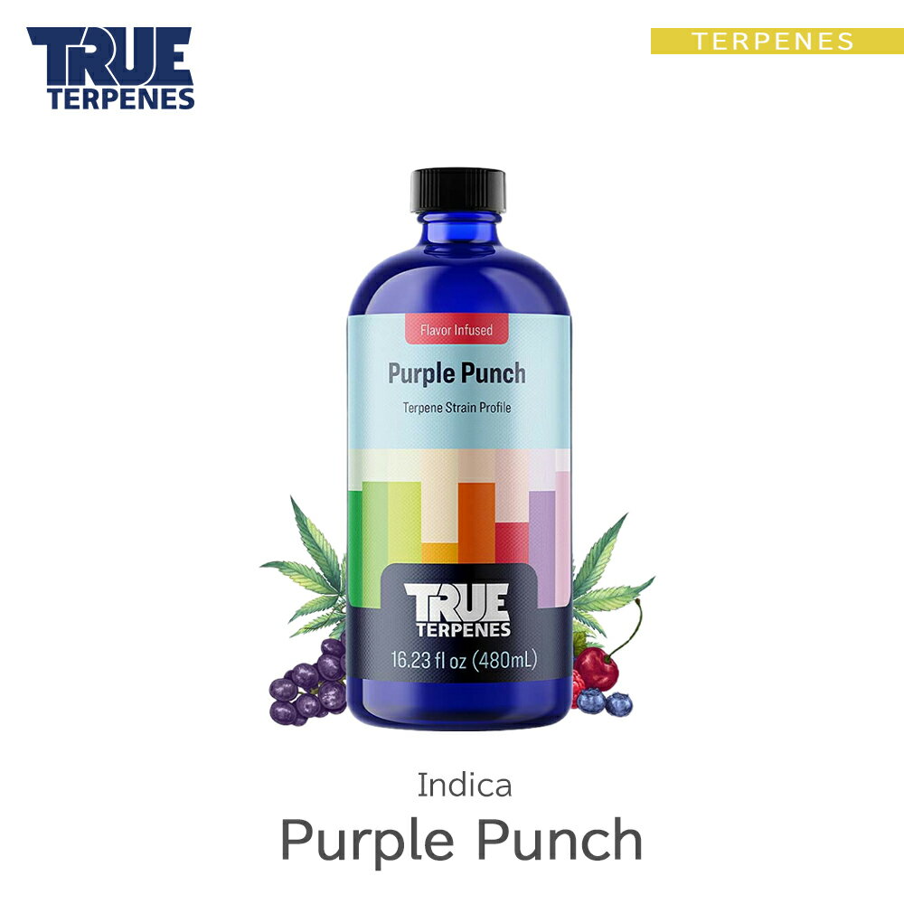 TRUE TERPENES wFlavor Infused Strain -Purple Punch-x1ml 5ml 10ml 30ml CfBJ t[o[ ey   Lbh J[gbW eyt[o[ VRey USAY xCv VAPE dq^oR CBD CBN CBG CBC I[KjbN