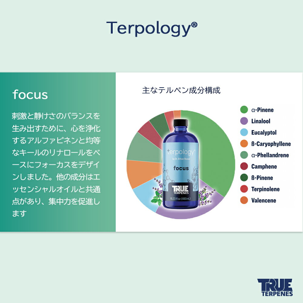Leafycollectiveの＼ブラックフライデー 限定／ テルペン アメリカ TRUE TERPENES 『テルポロジー -focus-』1ml テルペン リキッド VAPE 香料 フレーバー GABA 天然テルペン｜アングル3