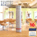 【あす楽】アルピジョン シャンプー イオンヘア＆フェイスクレンジングAX250ml ボトル美容室専売品 シャンプー ノンシリコン レディース メンズ ヘアケアカラー ダメージヘアケア 低刺激 サロン専売品 美容室 ヘアソープ 髪 頭皮ケア ミネラル ALPSion 送料無料