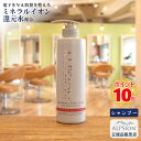 【あす楽】アルピジョン シャンプー イオンヘア＆フェイスクレンジングAX490ml 大容量ボトル美容室専売 シャンプー ノンシリコン レディース メンズ ヘアケアカラー ダメージヘアケア 低刺激 サロン専売品 美容室 ヘアソープ 髪 頭皮ケア ミネラル ALPSion 送料無料