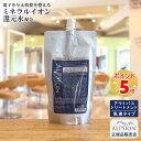 アルピジョン イオンヘアエマルジョン 300ml 詰替え用アウトバストリートメント 美容室専売品 髪の乳液 洗い流さない トリートメント レディース 低刺激 サロン専売品 ヘアケア 髪 潤い しっとり なめらか 美容 ALPSion 新生活 送料無料 土日祝日発送